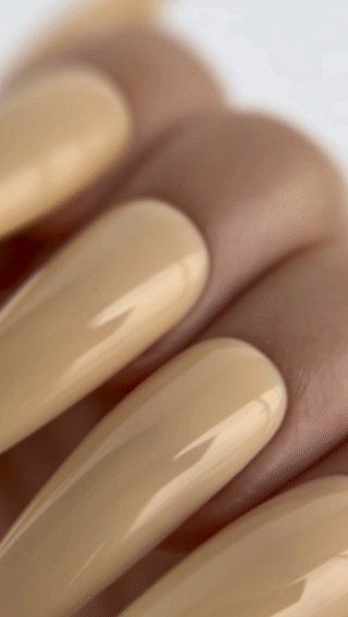 TINT BASE 33 HEMA & TPO & FREE