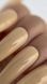 TINT BASE 33 HEMA & TPO & FREE