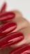 TINT BASE 59 HEMA & TPO & FREE