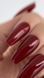 TINT BASE 54 HEMA & TPO & FREE